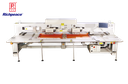 Automatische Mehrkopf-Rotationsstanzmaschine mit spezieller Form von Richpeace